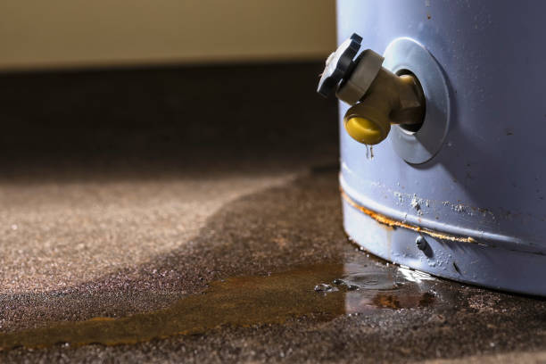 Best Emergency water damage restoration  in Mullins, SC