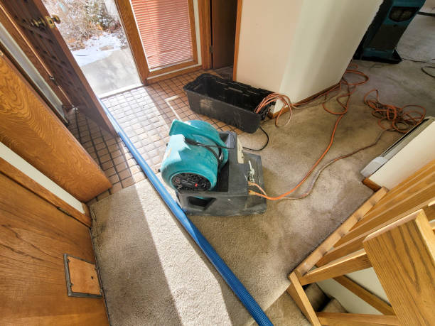 Best Sewage cleanup and water damage restoration  in Mullins, SC