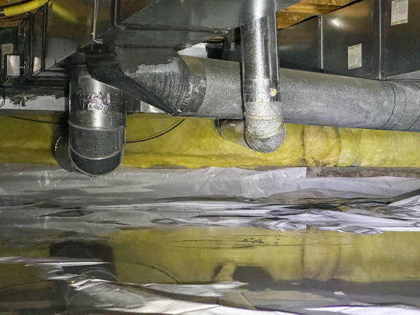 Trusted SC Water damage restoration Experts
