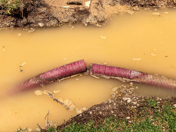 Best Water damage cleanup near me  in Mullins, SC